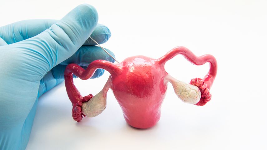 Процесс проведения ВМИ