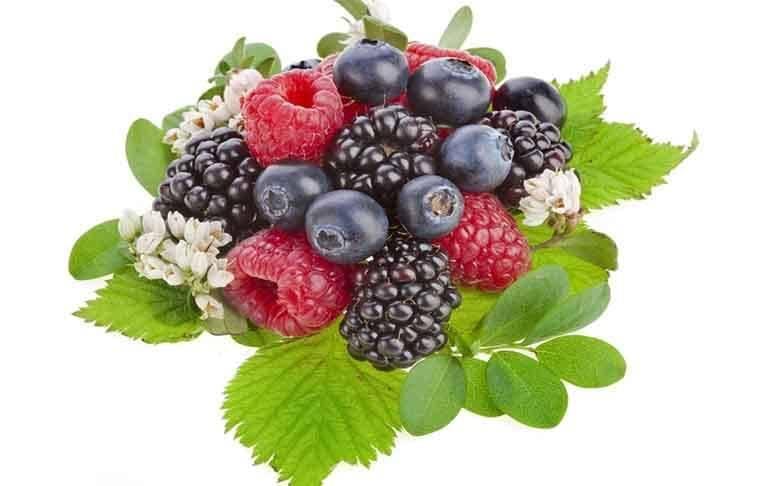 Полезные свойства ягод, чем полезны ягоды, какие ягоды полезнее