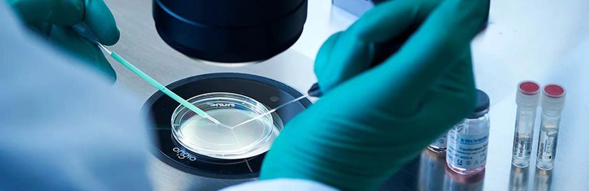 Минусы заморозки яйцеклетки