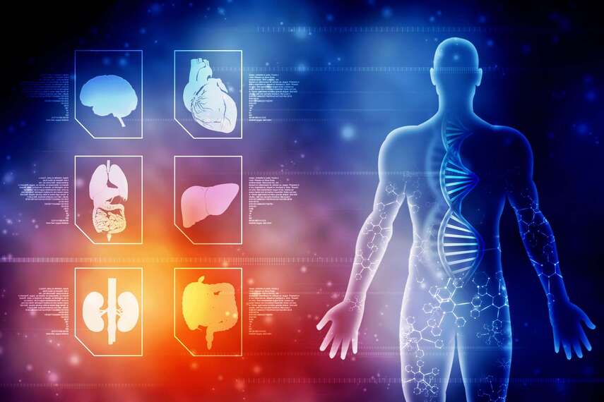 Быстрая самодиагностика: 4-шаговый тест на галитоз