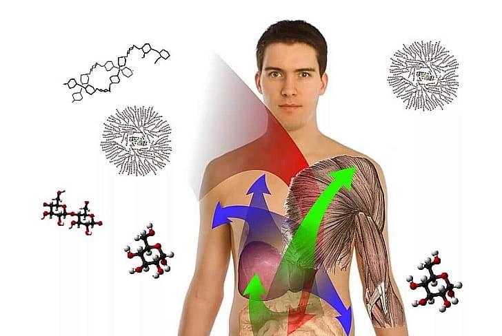 Увеличивает скорость обмена веществ