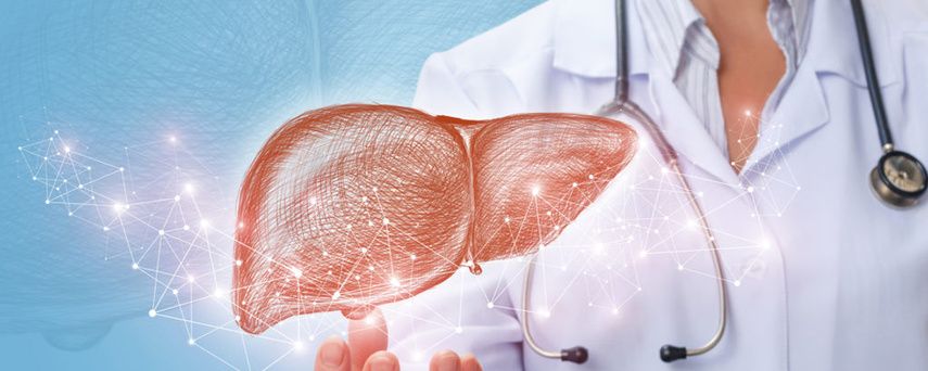 Профилактика рецидивов и поддержание здоровья печени