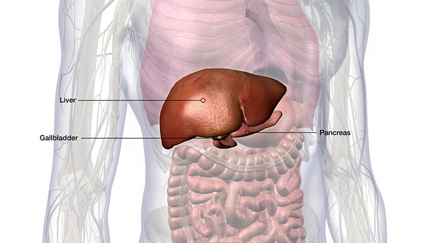 Осложнения жирового гепатоза